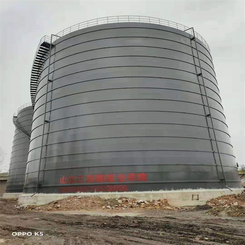 通海3万吨大型钢板库